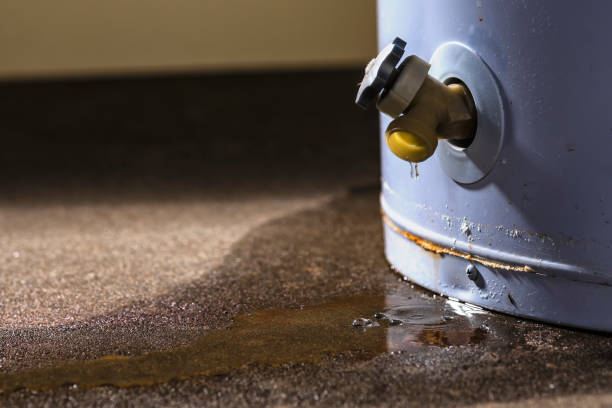 Best Mold removal after water damage  in Hermantown, MN