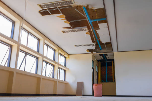 Best Flood restoration services  in Hermantown, MN