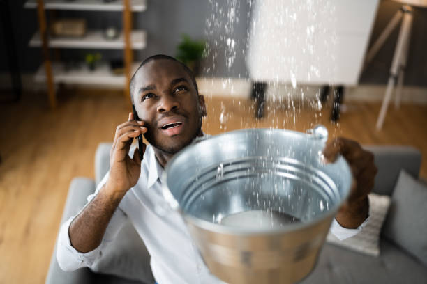  Hermantown, MN Water damage restoration Pros