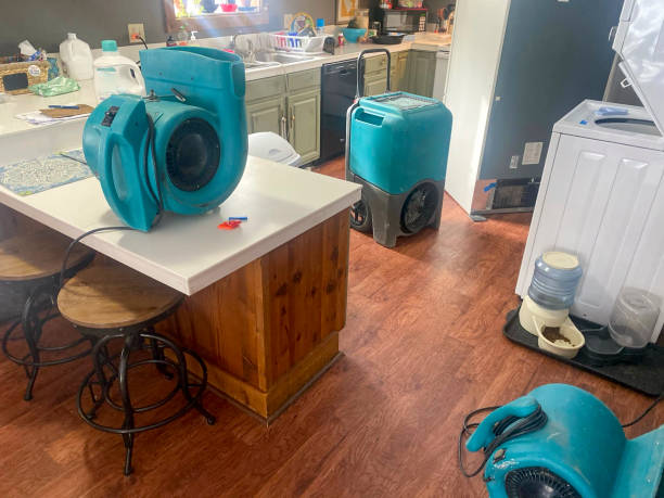 Best Water damage cleanup near me  in Hermantown, MN