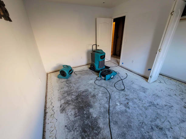 Best Fire Damage Restoration  in Hermantown, MN