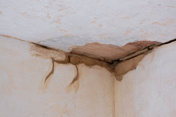 Best Carpet water damage restoration  in Hermantown, MN