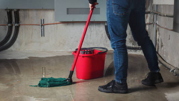 Best 24/7 water damage repair  in Hermantown, MN