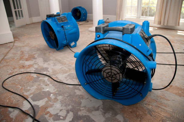 Best Water damage contractors near me  in Hermantown, MN