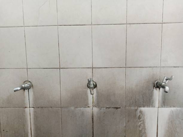 Best Water damage restoration near me  in Hermantown, MN