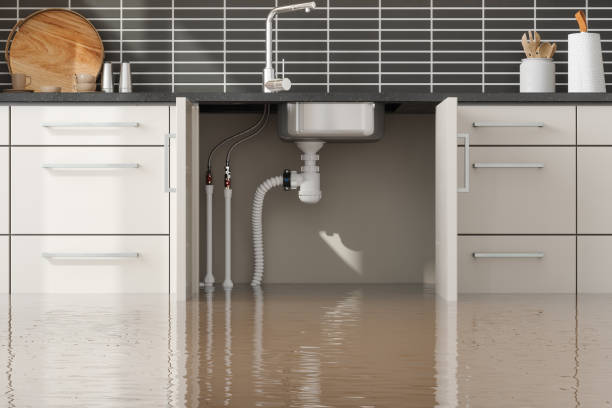 Best Ceiling water damage repair  in Hermantown, MN