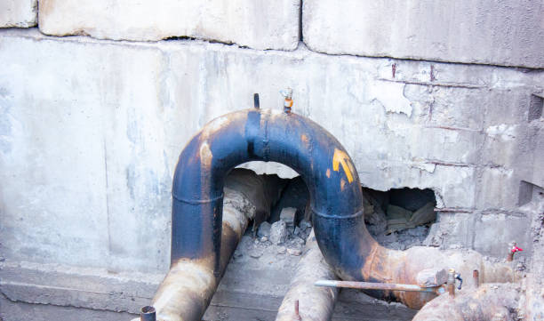 Best Water damage restoration near me  in Hermantown, MN