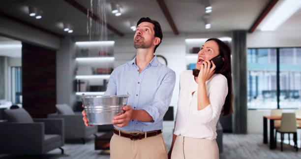 Best Commercial water damage restoration  in Hermantown, MN