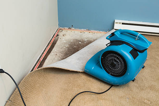 Best Basement water damage restoration  in Hermantown, MN