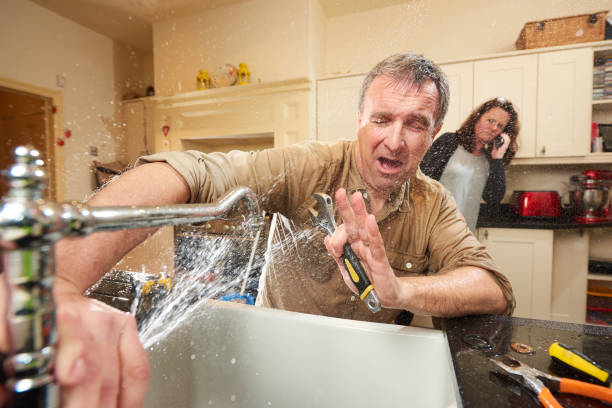 Best Basement water damage restoration  in Hermantown, MN